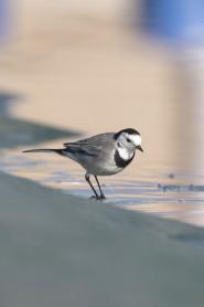 La Foto del Giorno (27 nov.)