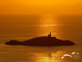 La Foto del Giorno (8 giu.)