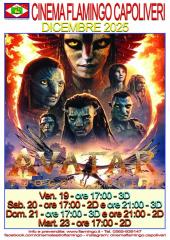 La programmazione del Cinema Flamingo