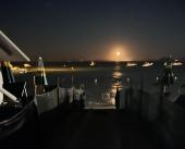 Aspettando le tartarughine... salvato dall'annegamento un bagnante notturno a Sant'Andrea