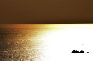 La Foto del Giorno (26 mar.)