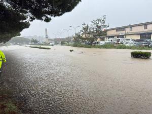 Dalle Isole Minori dell'ANCIM La solidarietà a Portoferraio: "necessarie soluzioni definitive"