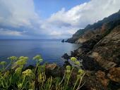 La Foto del Giorno (31 ago.)