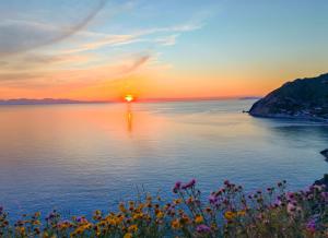 La Foto del Giorno (13 mag.)