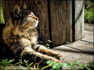 La Foto del Giorno (31 ott.)