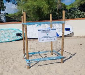 Tartaruga nidifica a La Foce. Le uova sono in parte lambite dall&#039;acqua, i volontari le salvano insabbiandole in un &quot;nuovo&quot; nido