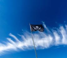 “Vessilli e bandiere” - La Foto della Settimana è di Alberto Marchetti