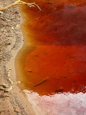 La Foto del Giorno (17 dic.)