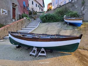 La Foto del Giorno (19 nov.)