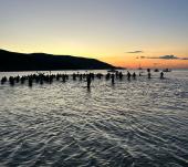 ELBAMAN: l’edizione del ventennale va a gonfie vele