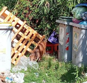 Fotonotizia: San Giovanni, scorcio paesaggistico