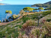 La nuova strada costiera tra Galenzana e i Salandri