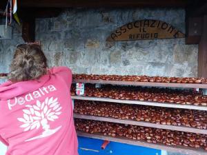 Festa d&#039;Autunno a Marciana: tra castagne, musica e tradizione