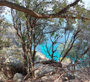 La Foto del Giorno (29 mar.)