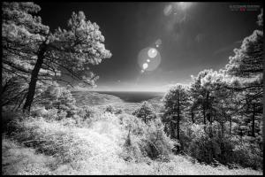 La Foto del Giorno (13 ott.)