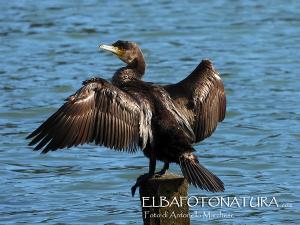 La Foto del Giorno (12 feb.)