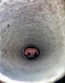 “Buchi e fori”: La Foto della Settimana è di Sara Autuori