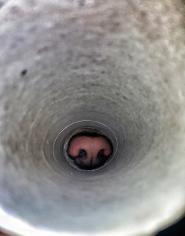 “Buchi e fori”: La Foto della Settimana è di Sara Autuori