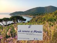 A Galenzana una targa per ricordare Fiorella Battaglini