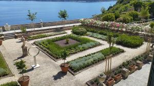 Fotonotizia: conclusi lavori di rifacimento 'filologico' dei giardini della Palazzina dei Mulini