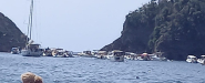 Fotonotizia: Domenica affollata di barche all'isolotto di Ortano