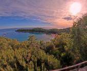 La Foto del Giorno (24 sett.)