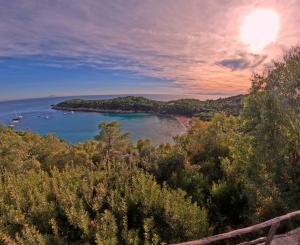 La Foto del Giorno (24 sett.)