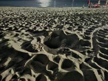 Tartaruga marina sulla spiaggia di Seccheto: nessun nido deposto