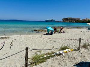 Quinta nidificazione di tartaruga marina a Pianosa