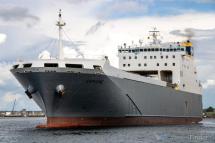 Le Donne in Nero protestano contro il transito nel porto piombinese di navi con materiali esplodenti a bordo