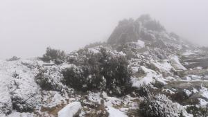 Fotocronaca: Prima neve dell'inverno e dell'anno su Monte Capanne
