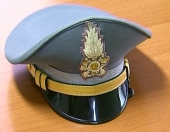 Bando di concorso per il reclutamento di 3 allievi finanzieri