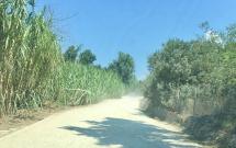 Il disastrato accesso alla bella spiaggia di Norsi, lettera al Comune di Portoferraio
