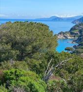 Scopri la Via dell’Essenza: 67 km di bellezza sull’Isola d’Elba