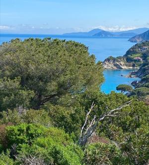 Scopri la Via dell’Essenza: 67 km di bellezza sull’Isola d’Elba