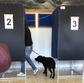 Referendum sull'aeroporto, alle ore 16 affluenza al 20%