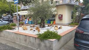 Certe volte basta un'aiuola - Piccole lezioni di civiltà