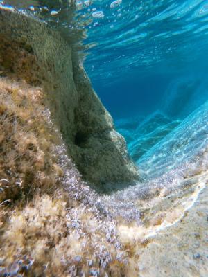 La Foto del Giorno (1° lug.)