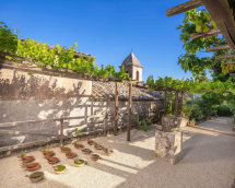 Riapre l’Orto dei Semplici Elbano presso l’Eremo di Santa Caterina a Rio Elba