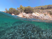 Ai blocchi di partenza gli eventi del progetto Life Sea.Net