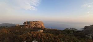 La Foto del Giorno (17 ago.)