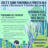 Cos’è e come funziona la Foresta Blu - Come riforestare il fondo del mare