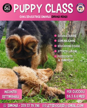 Al via con Let's Dog i corsi di socializzazione per cuccioli