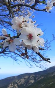 Passeggiata dell'equinozio di Primavera con l'Associazione Pedalta