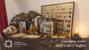 Gli eventi della settimana nei Musei dell'Arcipelago