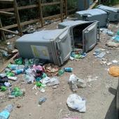 Immondizia e cinghiali nella Valle dei Pozzatelli: la denuncia dei residenti