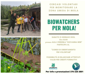 Biowatcher per Mola. Cercasi volontari per tutelare la Zona umida