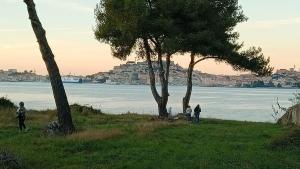 Domani l'incontro del gruppo "Amici della vita" al Podere San Marco