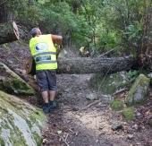 Manutenzione sentieri nel versante occidentale dell’Isola: il Parco prosegue gli interventi per garantire sicurezza e fruibilità