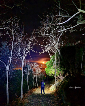 La Foto del Giorno (15 mar.)